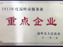 2013年度温岭市服务业重点企业