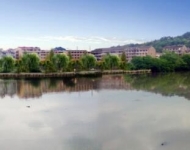 温岭市东月河中心大道—山凰（杨河村桥头综合整治工程）