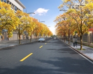 杭州市余杭区昌达路（荷禹路-长宁路）