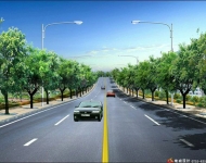 泽国镇东河南路道路工程