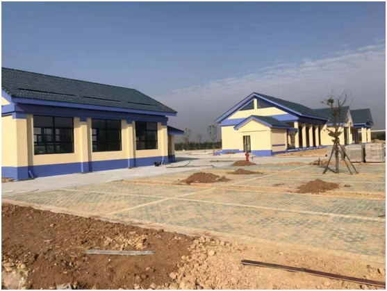 1541836514431996.jpg 03.jpg