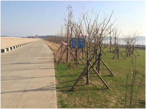 1543647516125872.jpg 22.jpg