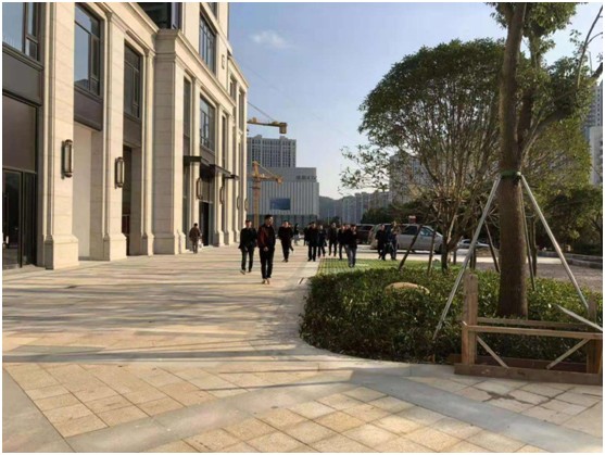 1543647692719620.jpg 3.jpg