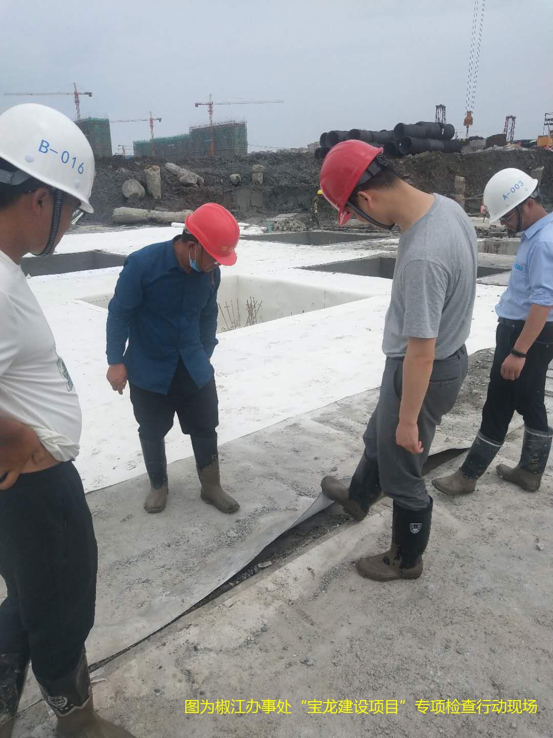 1591585701127094.jpg 1591585701127094.jpg